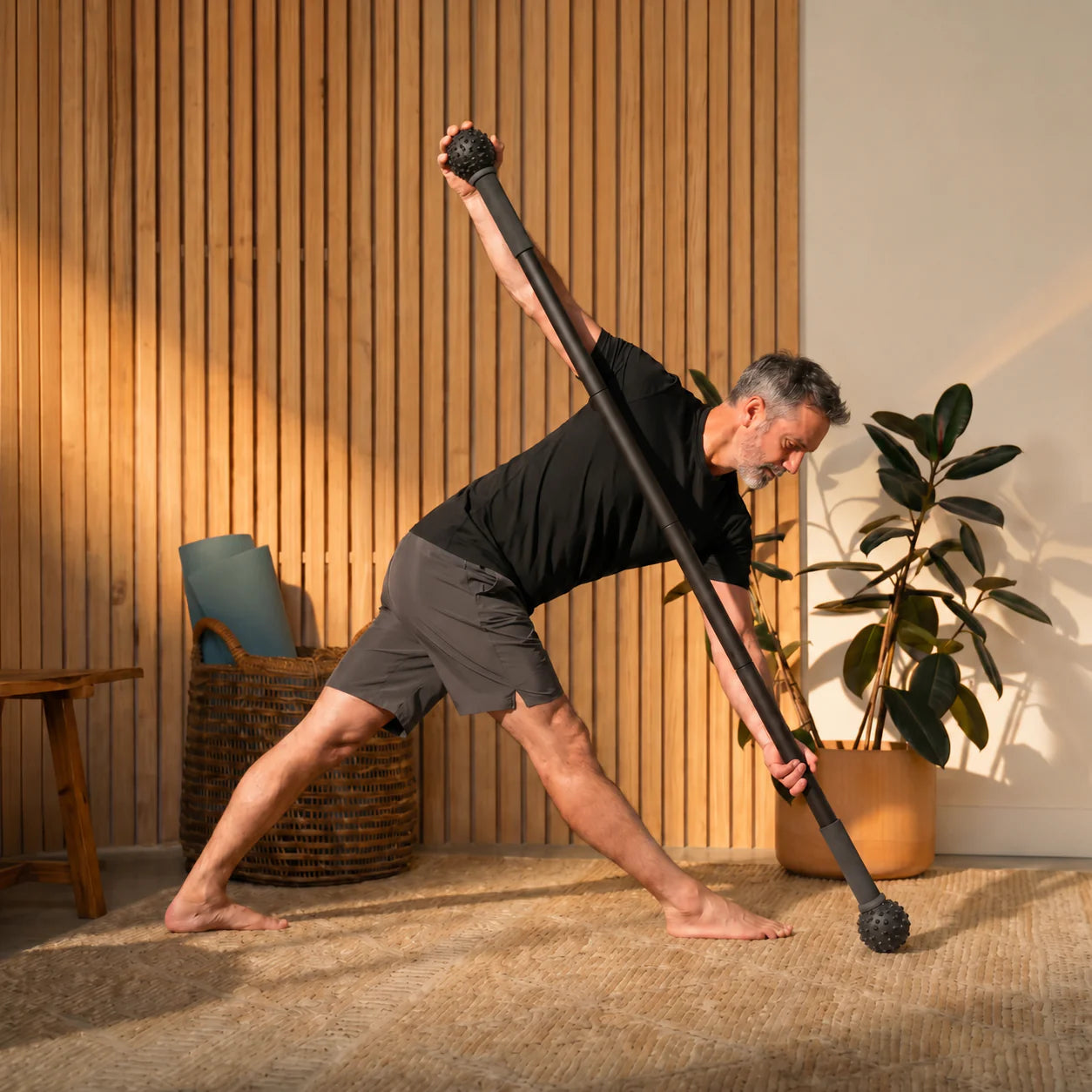Mobility Stick