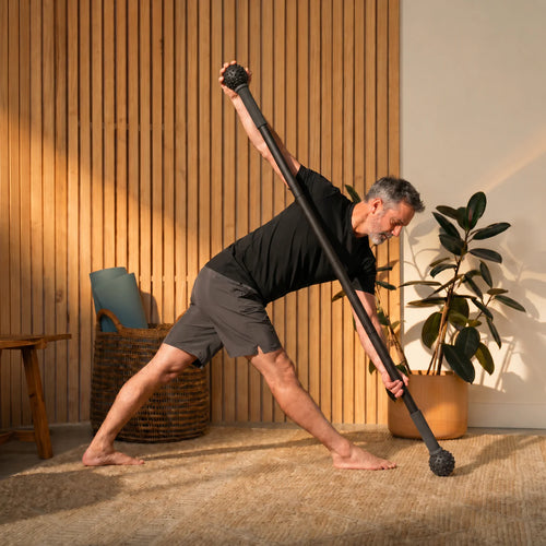Mobility Stick