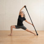 Mobility Stick